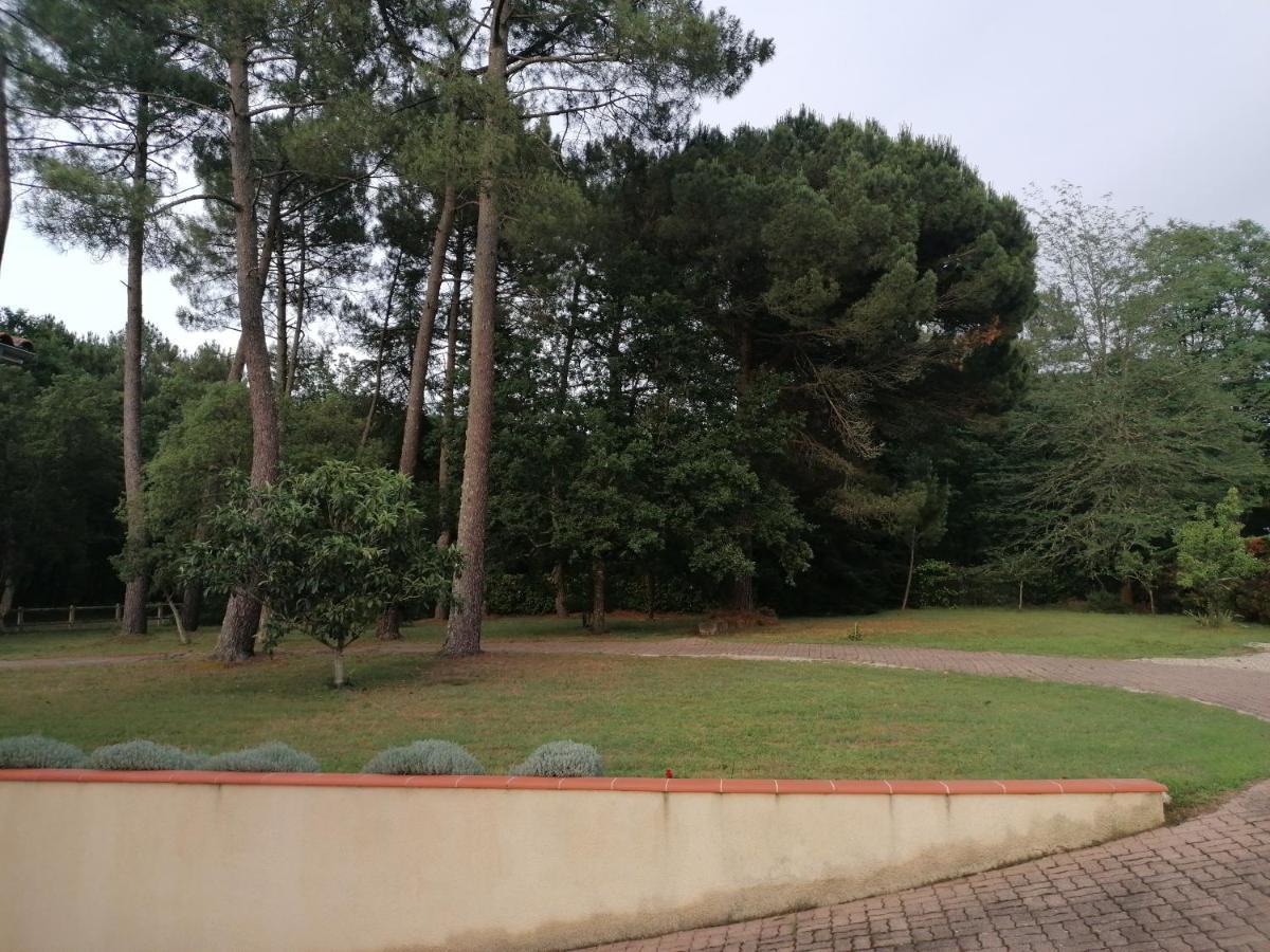 Appartement Cosy Chez Nicolas Et Aline Pompiey Εξωτερικό φωτογραφία